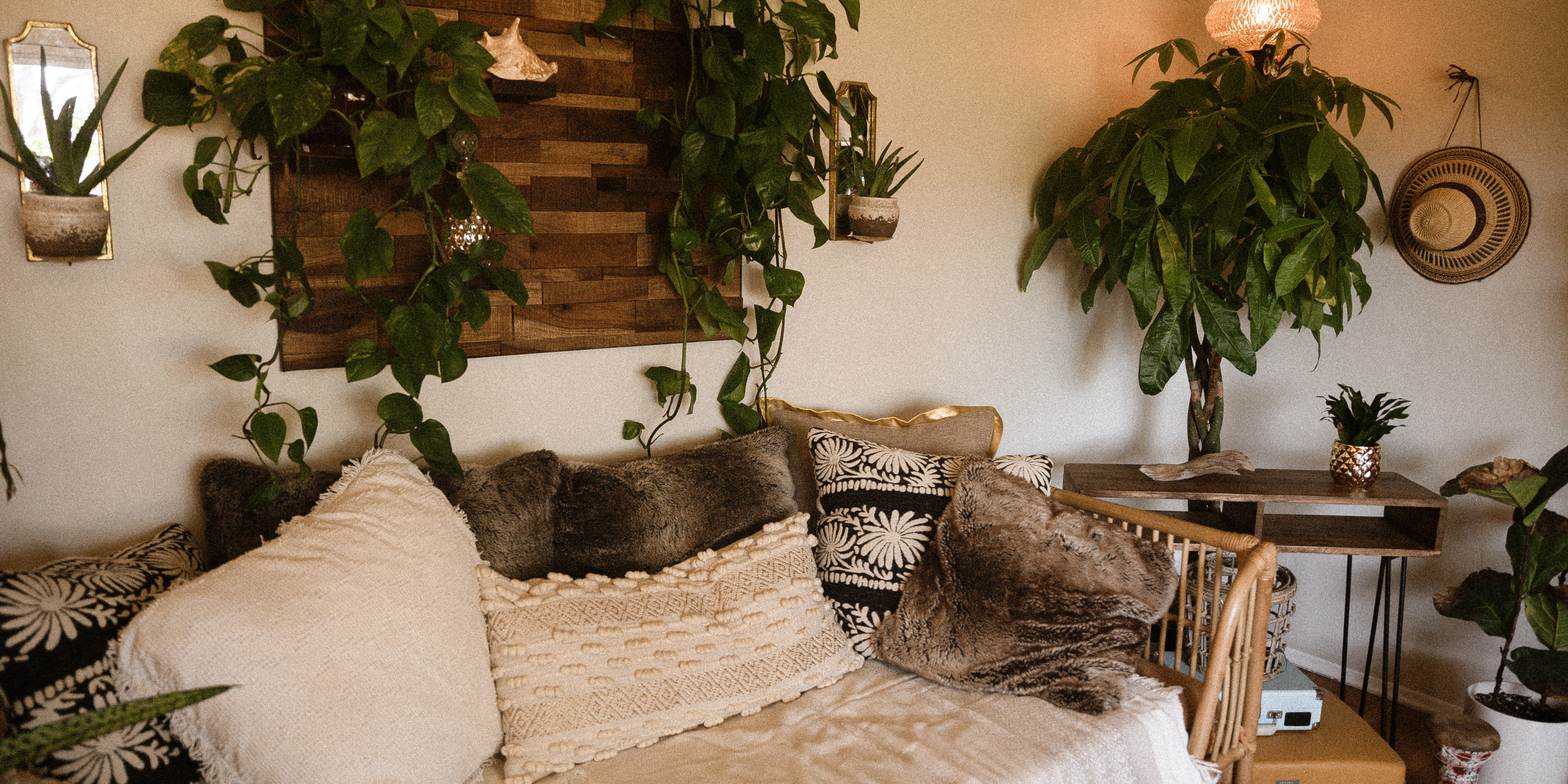 a hygge interior of a room featuring plants, throw pillows, wallboard and cushions