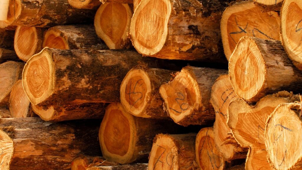 logs of teak wood