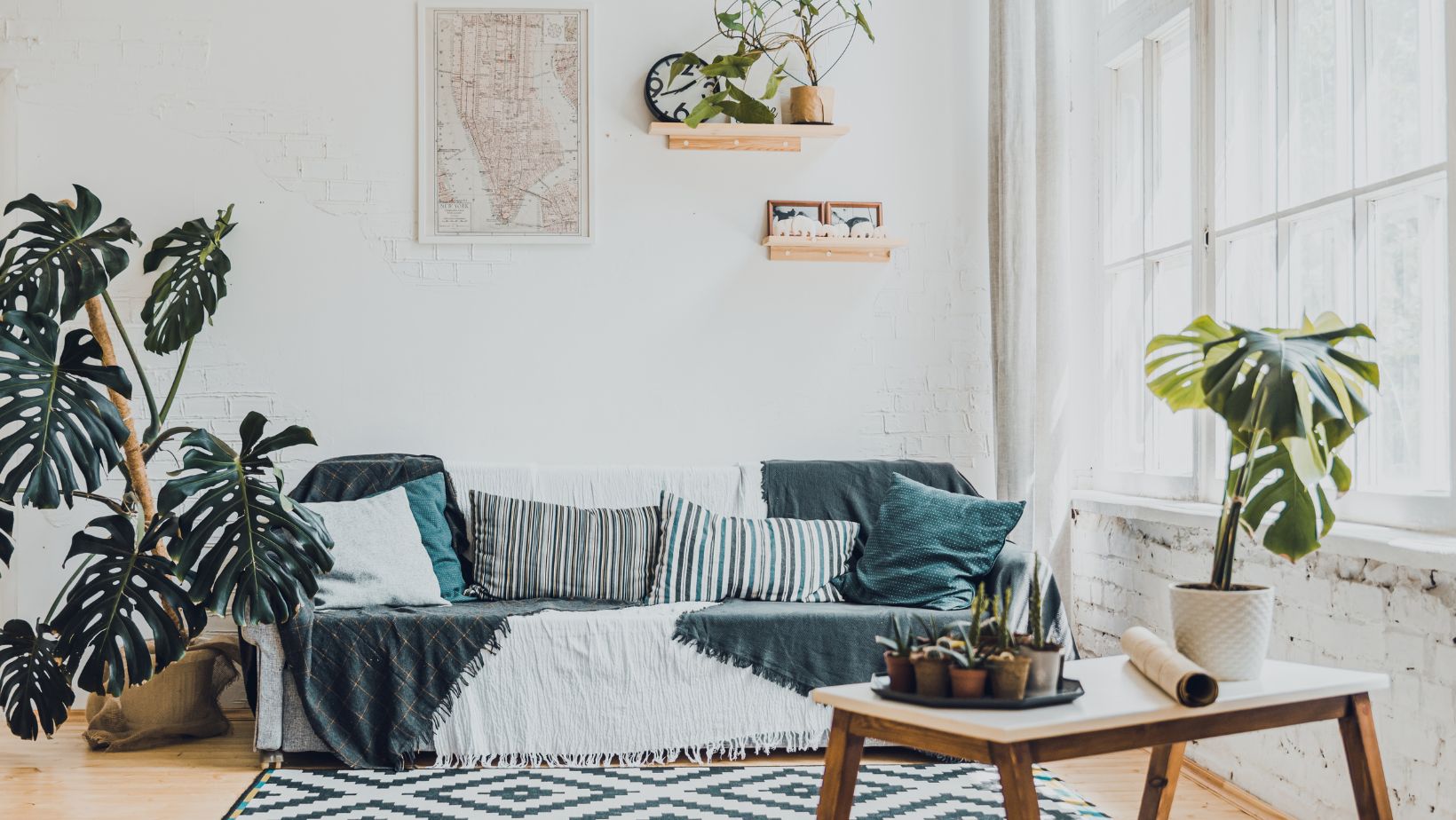 A living room with plants